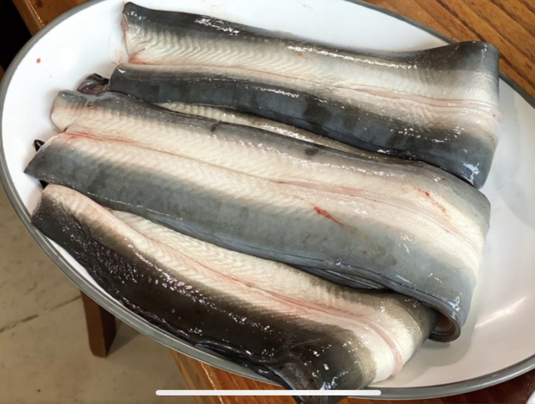 심명진 민물장어 손질장어 1kg