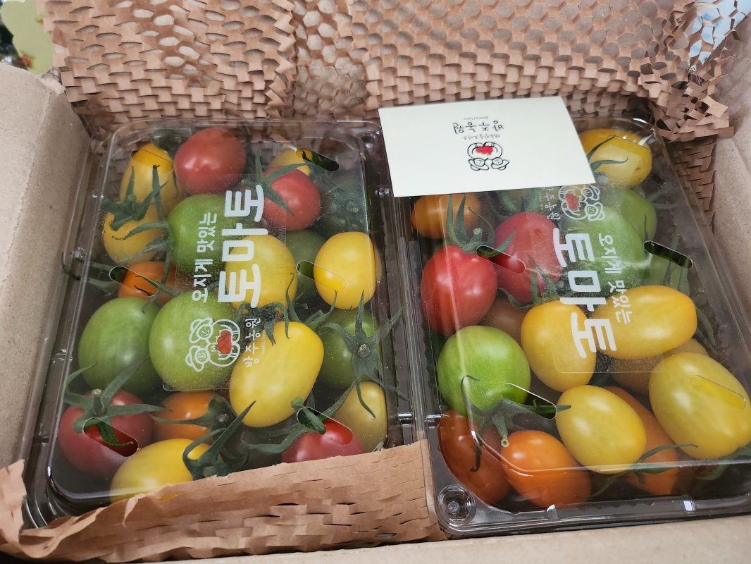 GAP인증 컬러 대추방울토마토 750g x2팩 / 4팩