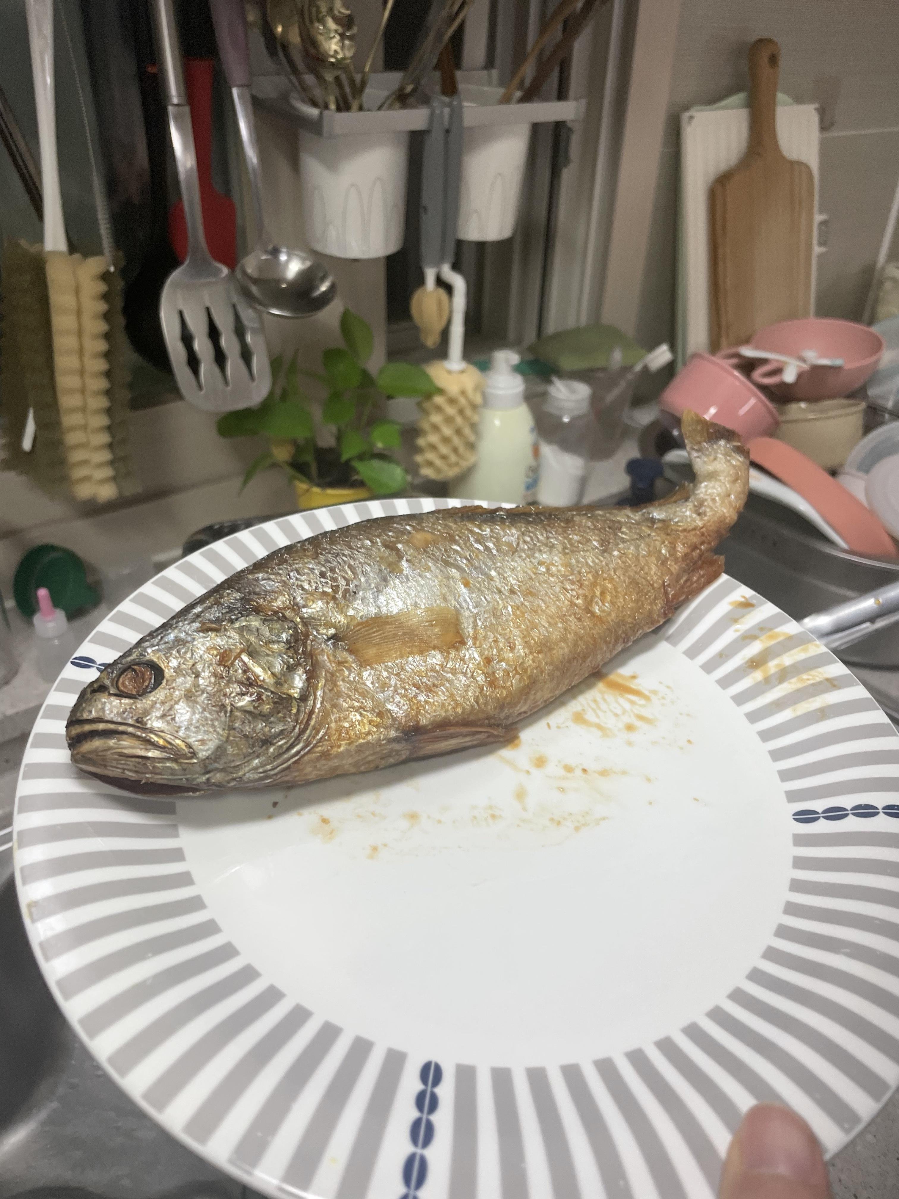 수림맛특굴비x10미(33cm내외)