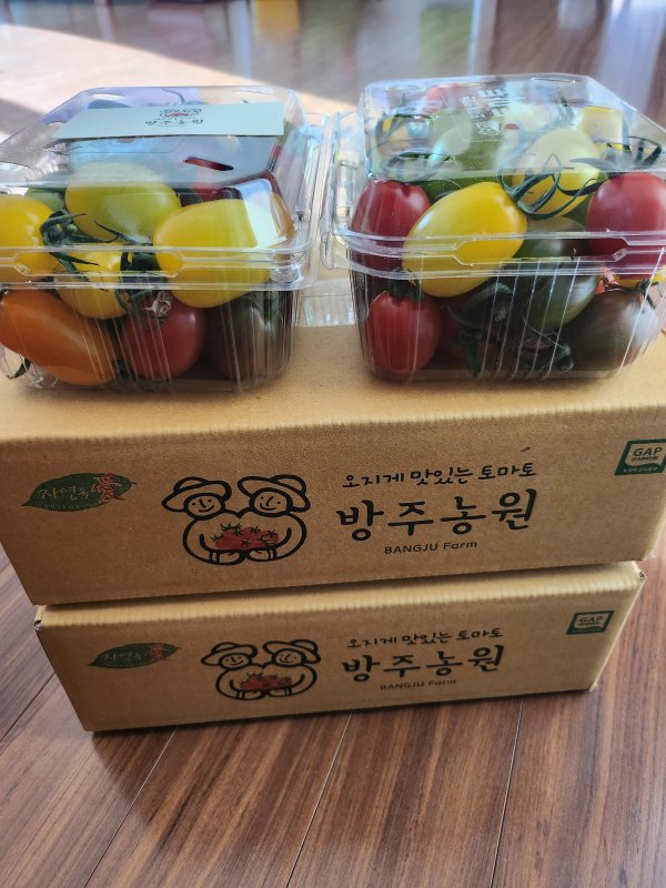 GAP인증 대추방울토마토 2kg / 4kg / 5kg 당일수확
