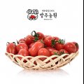 GAP인증 대추방울토마토 2kg / 4kg / 5kg 당일수확