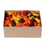 미니파프리카 3kg (가정용)