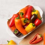 ★8월특가★ 미니파프리카(가정용) 1.2kg