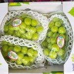 [샘실농장] 샤인머스켓 이미지변경등록했음