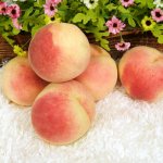 복숭아 4kg - 중과 (경봉= 딱딱한품종)  14~16과