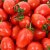 GAP인증 대추방울토마토 2kg / 4kg / 5kg 당일수확